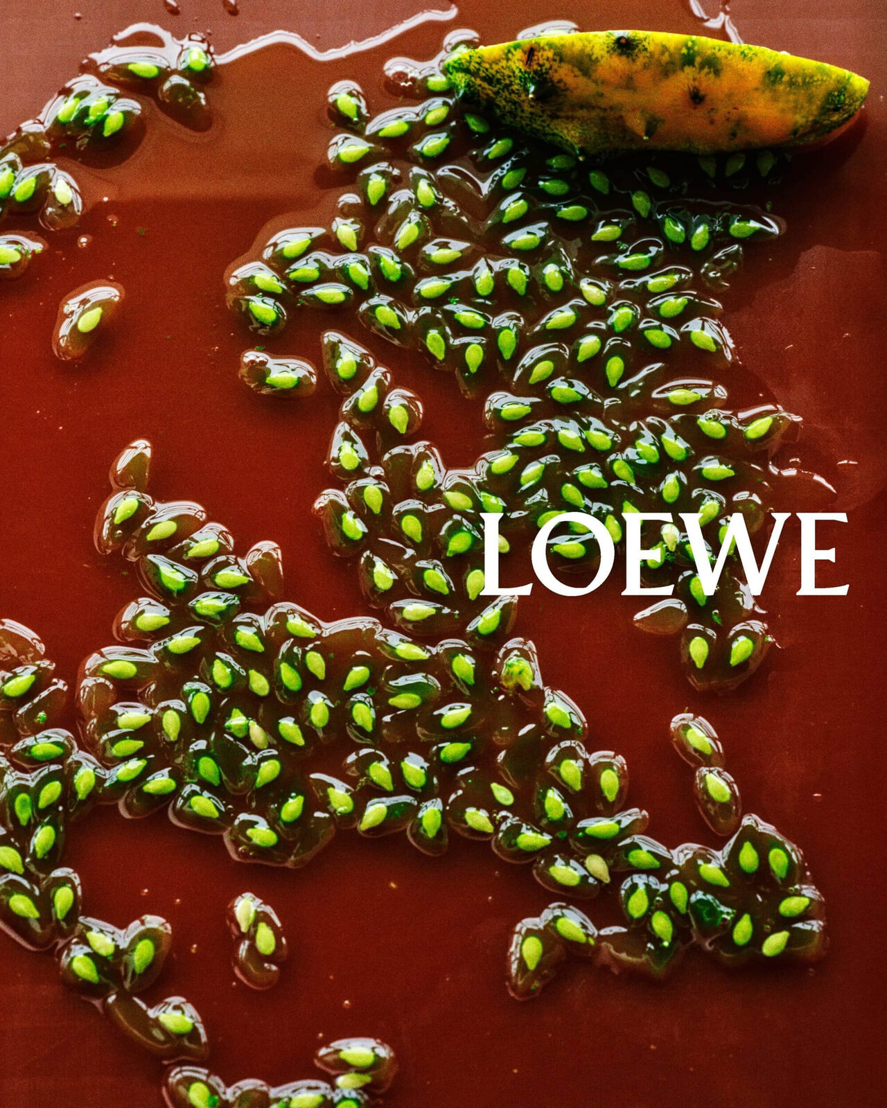 Bodegón con frutas en la campaña Pre-Fall 2026 de Loewe
