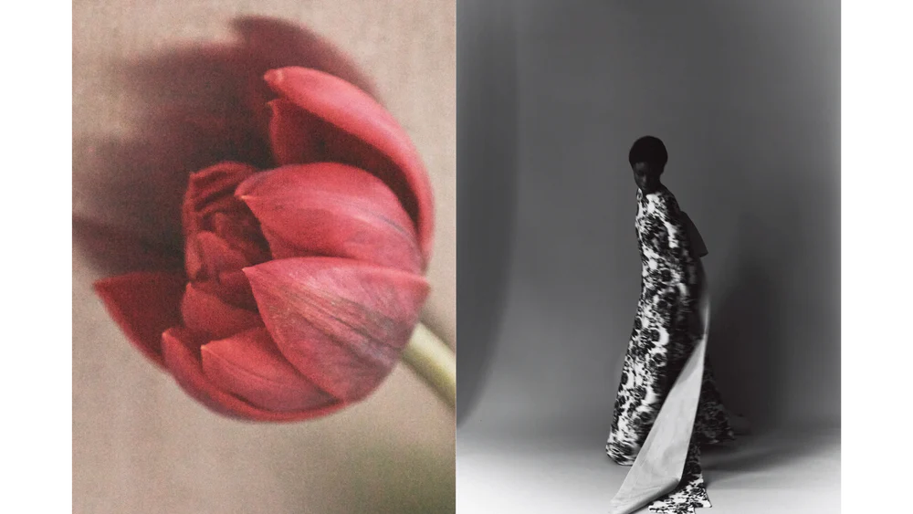 Detalle de una flor junto a una modelo con un total look del archivo de ERDEM