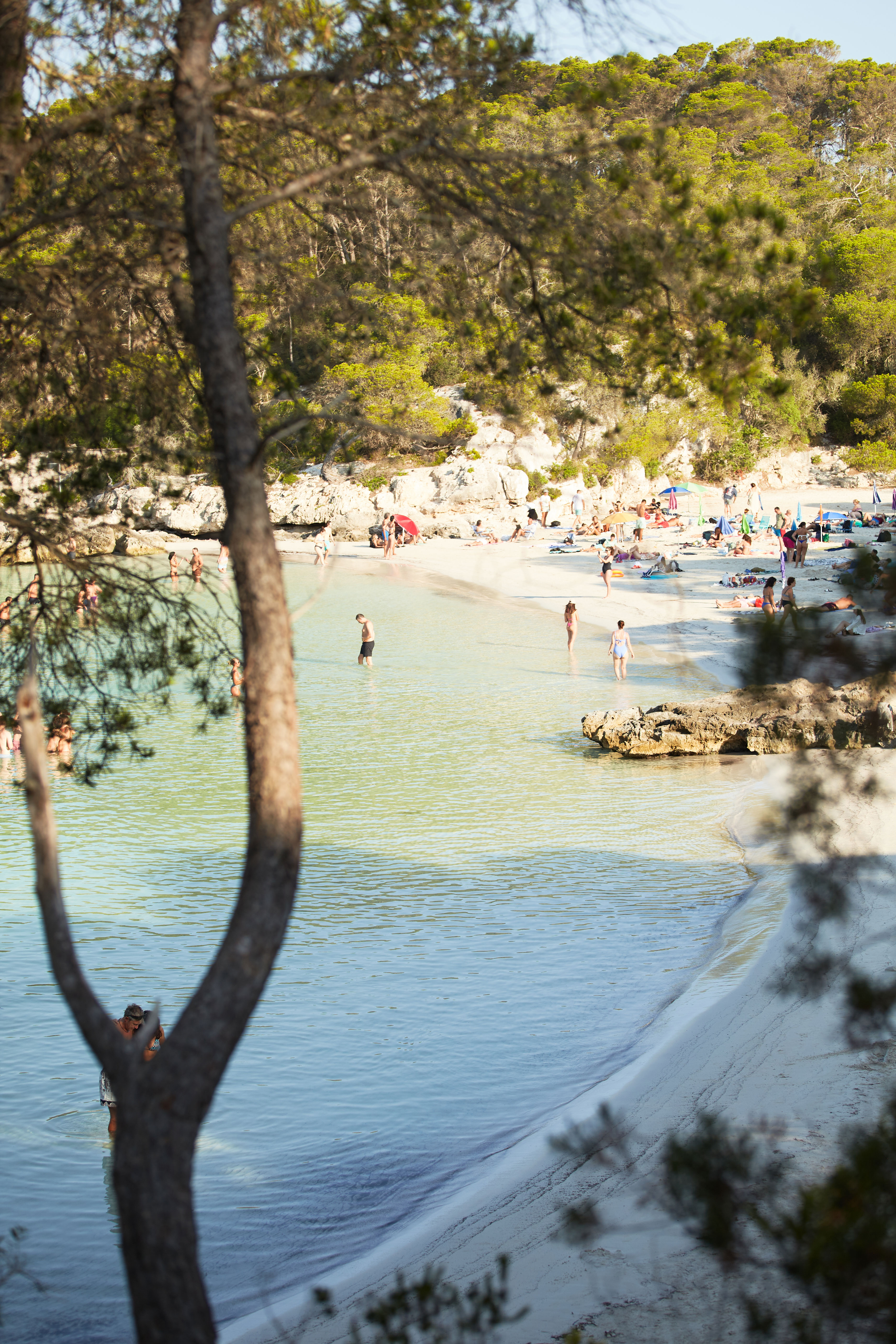 Vista desde lo alto de Cala Turqueta rodeada de pinos y aguas turquesas en Menorca.